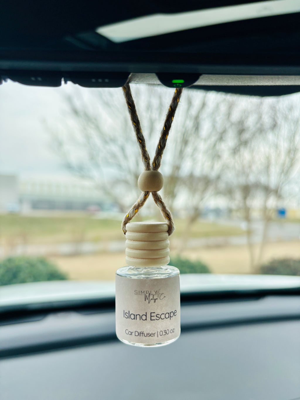 Salted Amber Car Diffuser