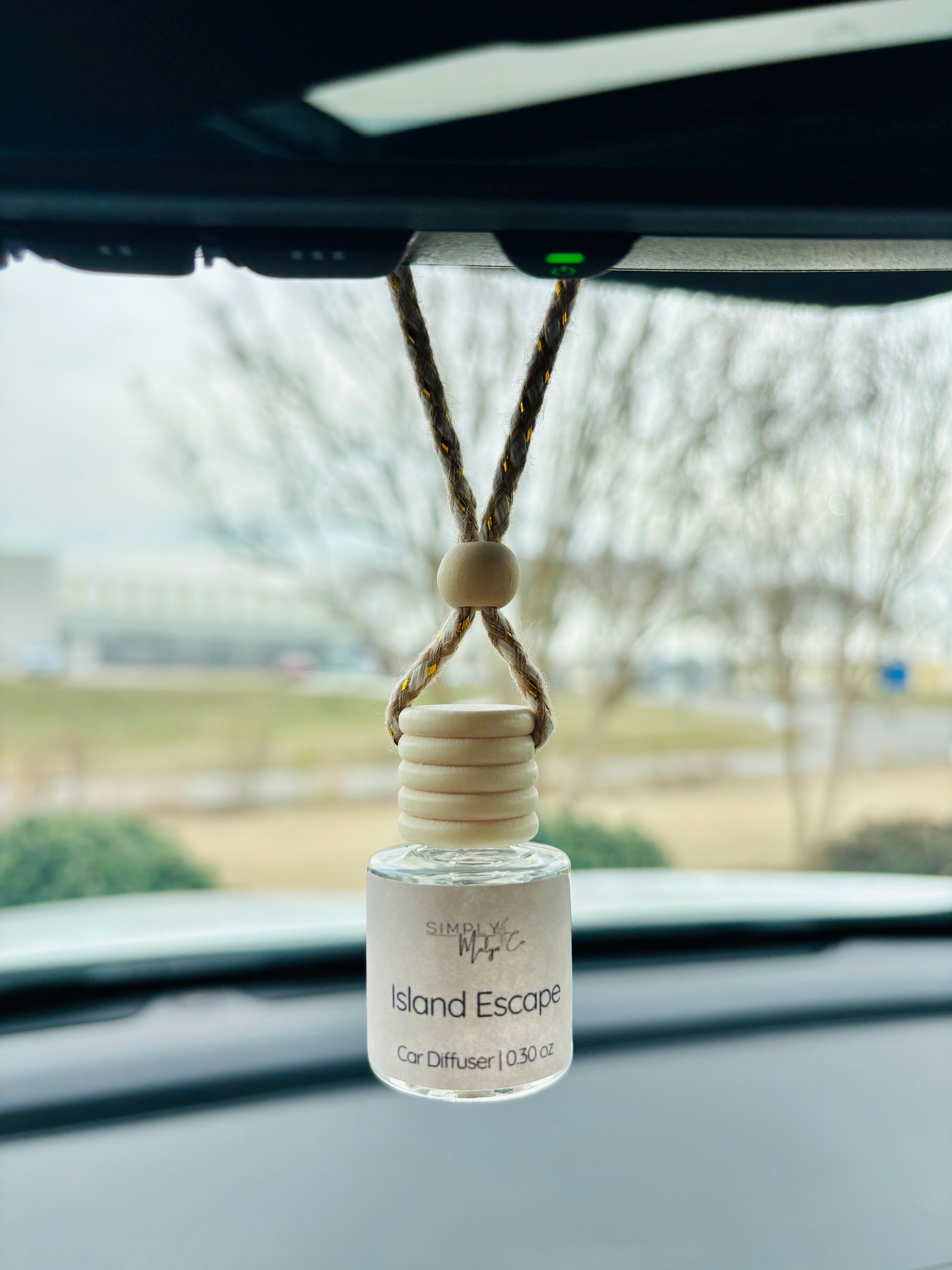Salted Amber Car Diffuser